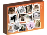 Collage - Chats