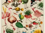 Birds by Beto Val