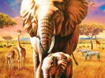 Mother Elephant