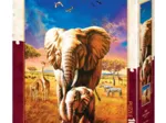 Mother Elephant