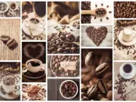 Grains de Café