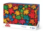 Feuilles Colorées