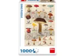 Collage Champignons