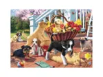 Secret Puzzle - Chiots