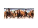 Pièces XXL - Chevaux dans l'Eau