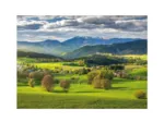 Printemps A Povraznik