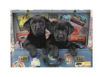 Chiots dans un Coffre