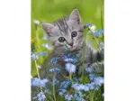 Mini-puzzle Chat