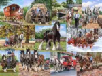 Le Groupe des Poids Lourds