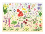 Wildflowers
