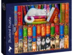 Cat Bookshelf