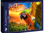 Parrot