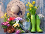 Ready for the Garden