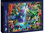Tropical Hummingbirds