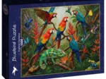 Harmonie Tropicale