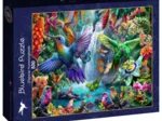 Tropical Hummingbirds