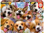 Chiots Selfie. Howard Robinson