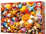 Collage de Coquillages