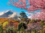 Château d'Osaka. Japon