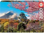 Château d'Osaka. Japon