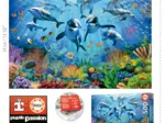 Fête Sous La Mer