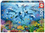 Fête Sous La Mer
