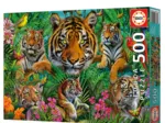 Jungle Des Tigres