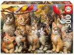 Chatons et Oiseaux