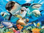 Selfie sous la Mer