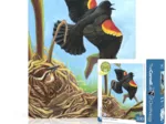 Red-winged Blackbird