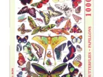 Butterflies - Papillons