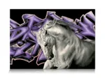 Cheval Blanc
