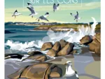 En BRETAGNE Il ne pleut que sur les Cons