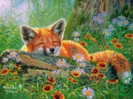Rêves de Renard
