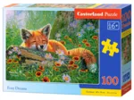 Rêves de Renard