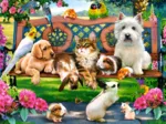 Animaux dans le Parc
