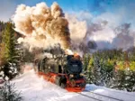 Train à Vapeur