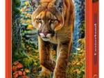 Lion des Montagnes dans la Forêt