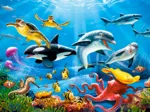 Tropical Underwater World