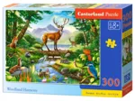 Woodland Harmony