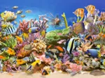 La Vie Sous-Marine