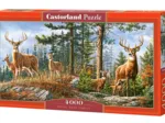 Famille Royale de Cerfs