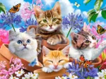 Chats avec Fleurs