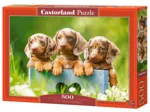 Mignons Chiots