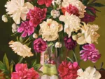 Belles Pivoines