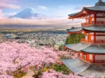 Le Printemps au Japon