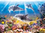 Le Monde des Dauphins