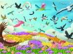 Amazing Birds