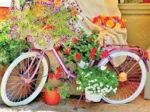 Bicycle with Flowers