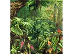 Jungle